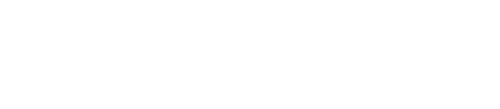 Vessi